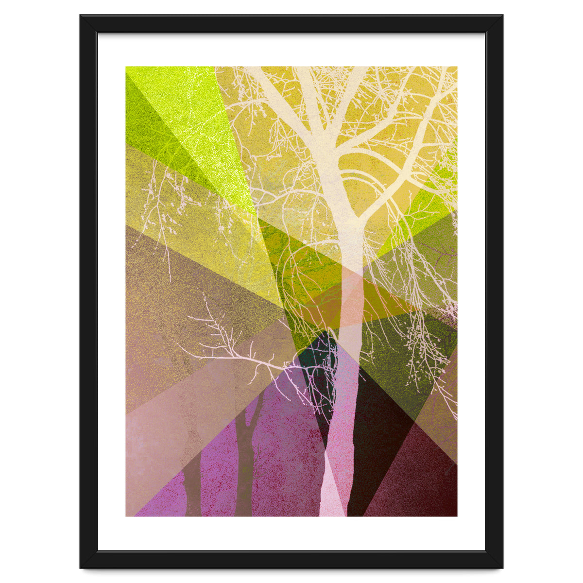 P22 A Trees And Triangles