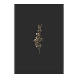 Gold Rush Botanicals (Print Only) thumbnail