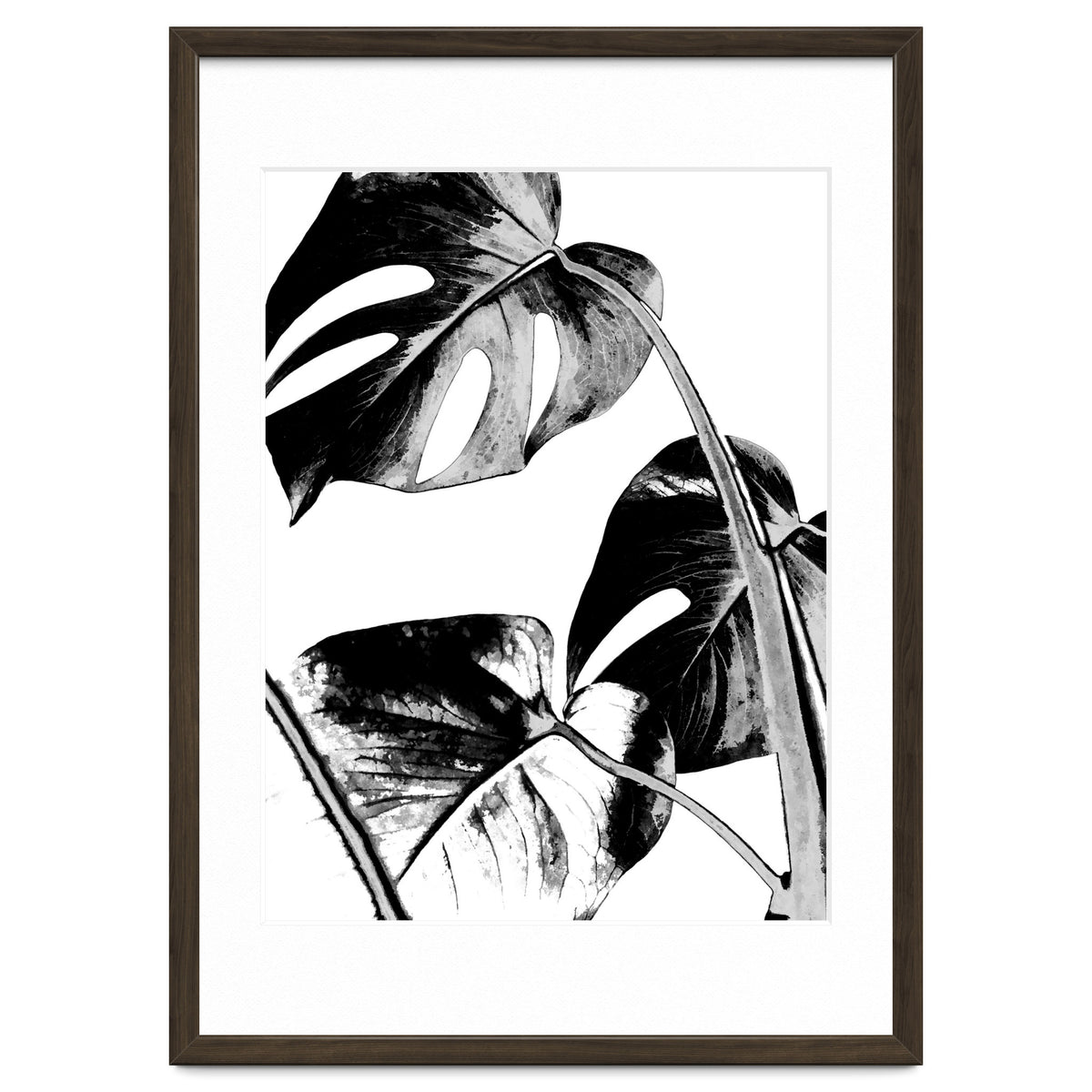 Black Tropical Leaves