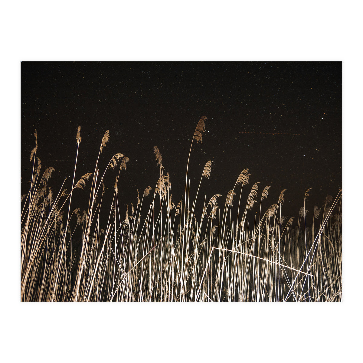 The Shining (Print Only)