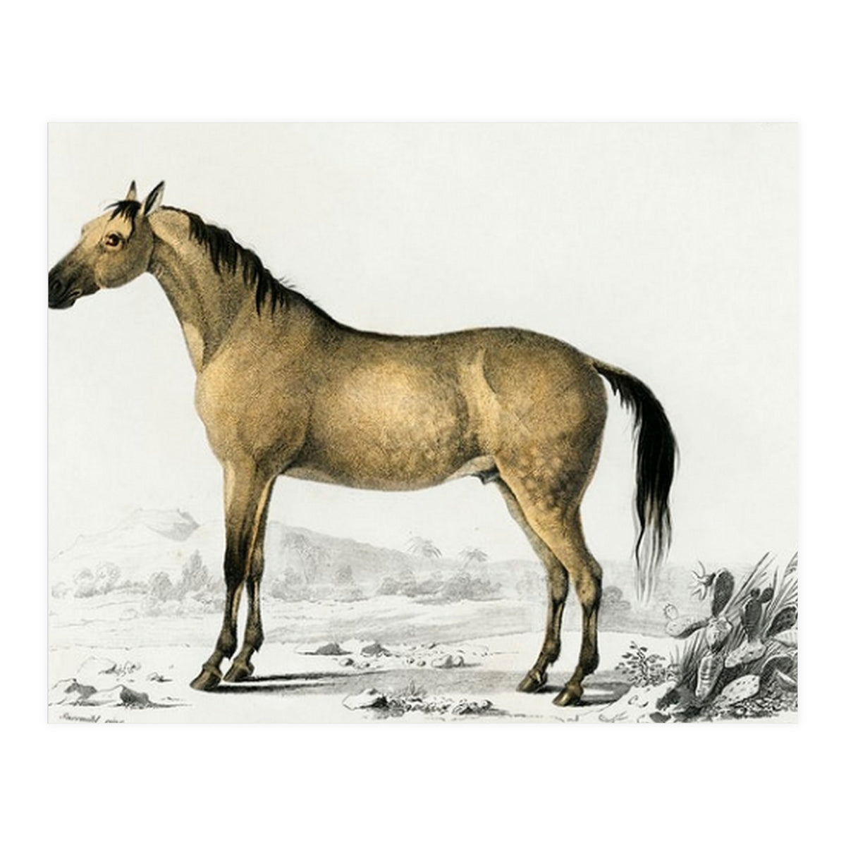 Horse (Print Only)