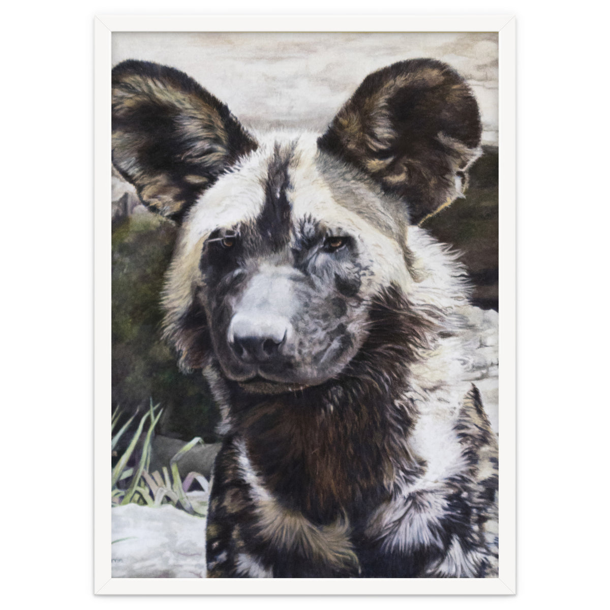 African Painted Dog II