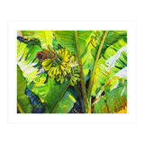 Tropical Fruit (Print Only) thumbnail