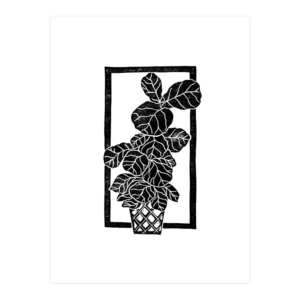 Fiddle Leaf Fig (Print Only)
