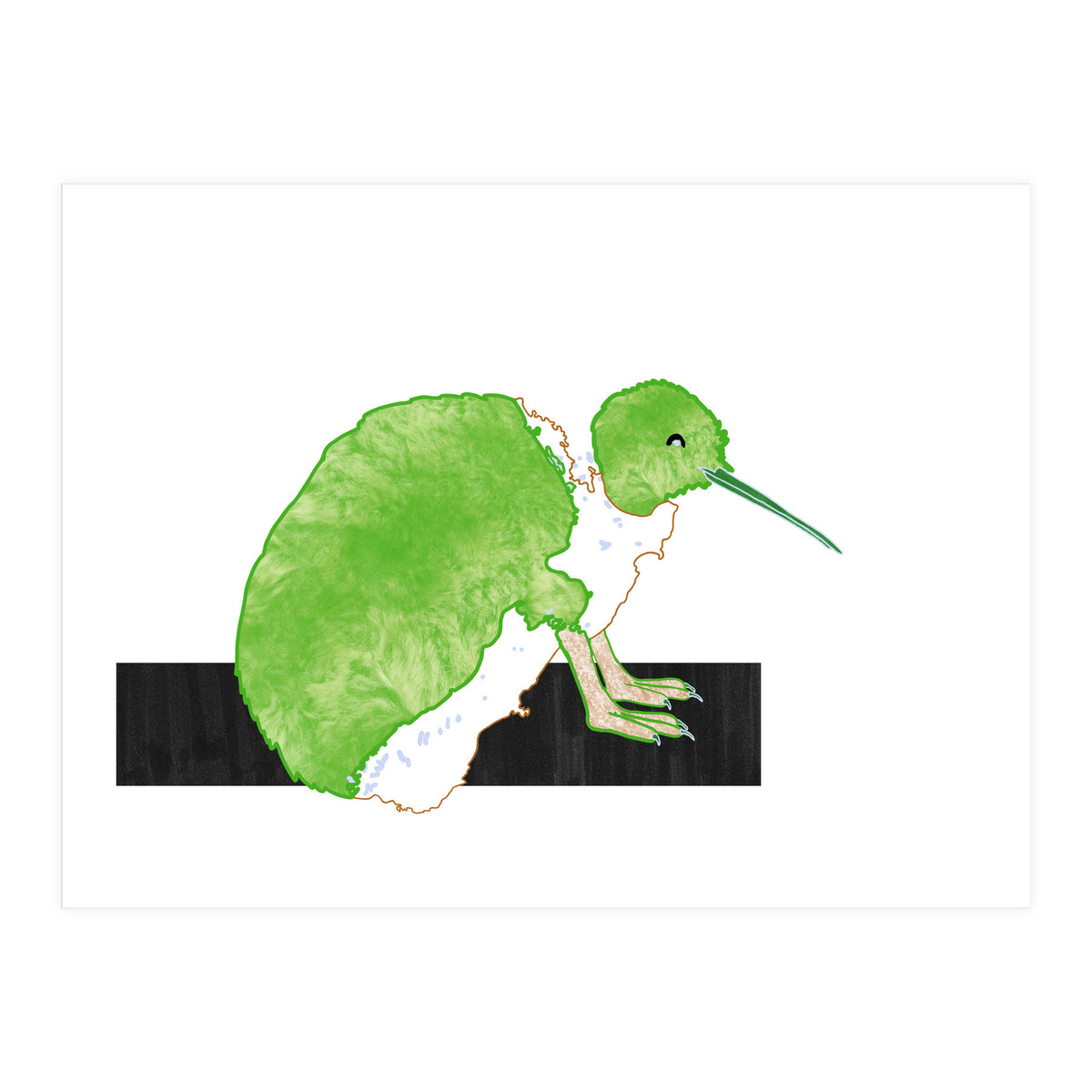 New Zealand Kiwi (Print Only)