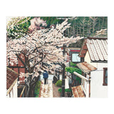Passing by Cherry Blossoms (Print Only) thumbnail