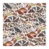 Moths of North America Pattern (Print Only) thumbnail
