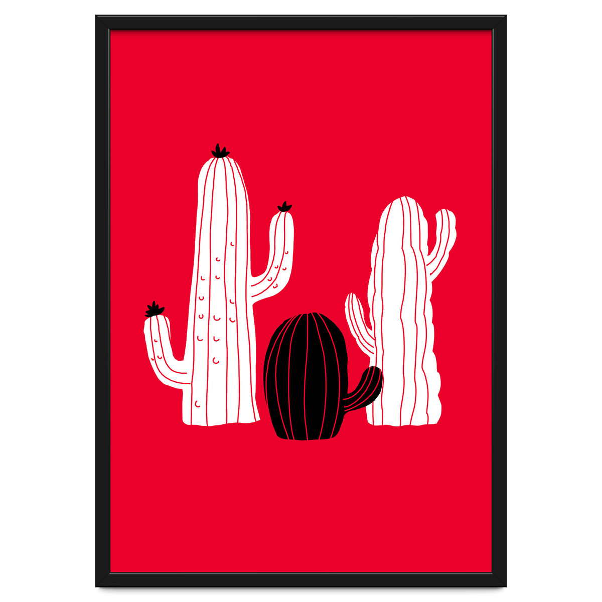 Cactus