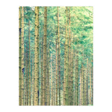 Locked In The Woods (Print Only) thumbnail