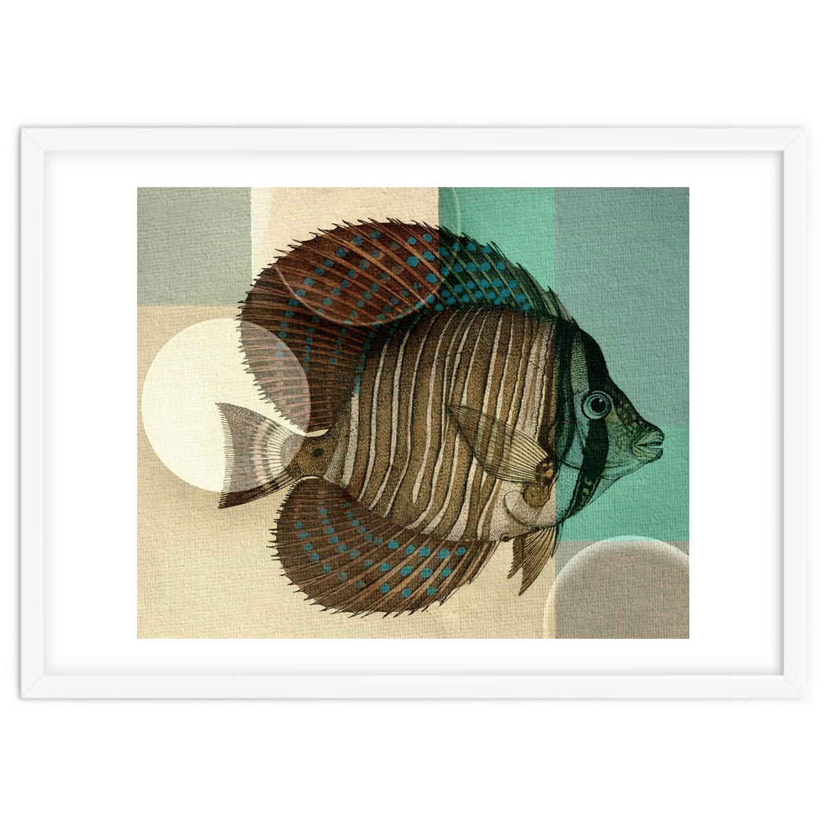 Fish Between Circles 4