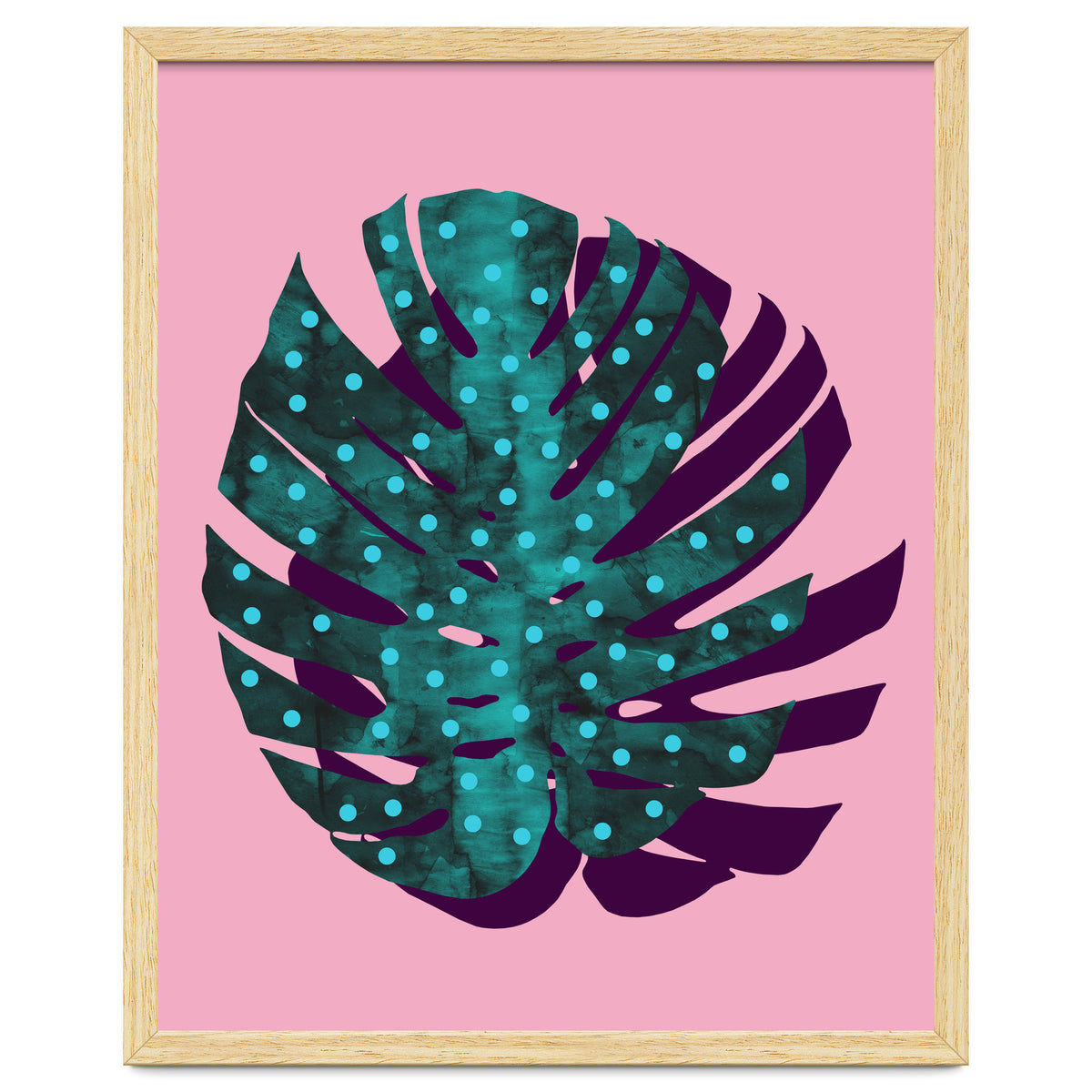 Monstera Deliciosa II