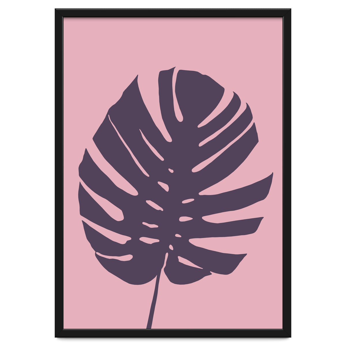 Monstera Deliciosa III