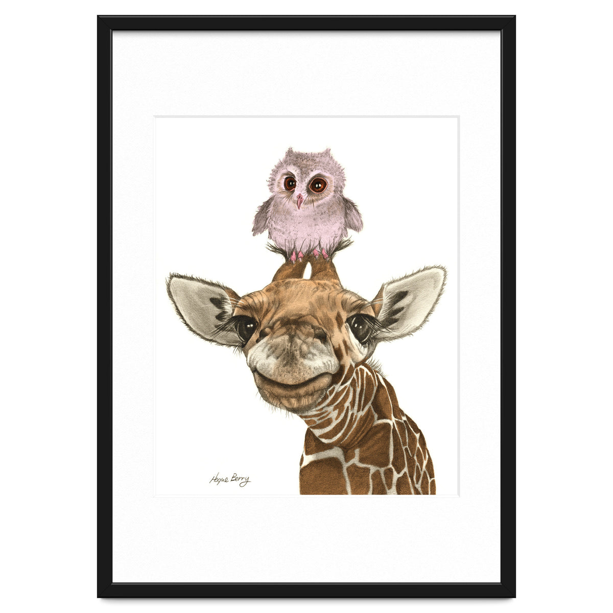 Giraffe and Owl