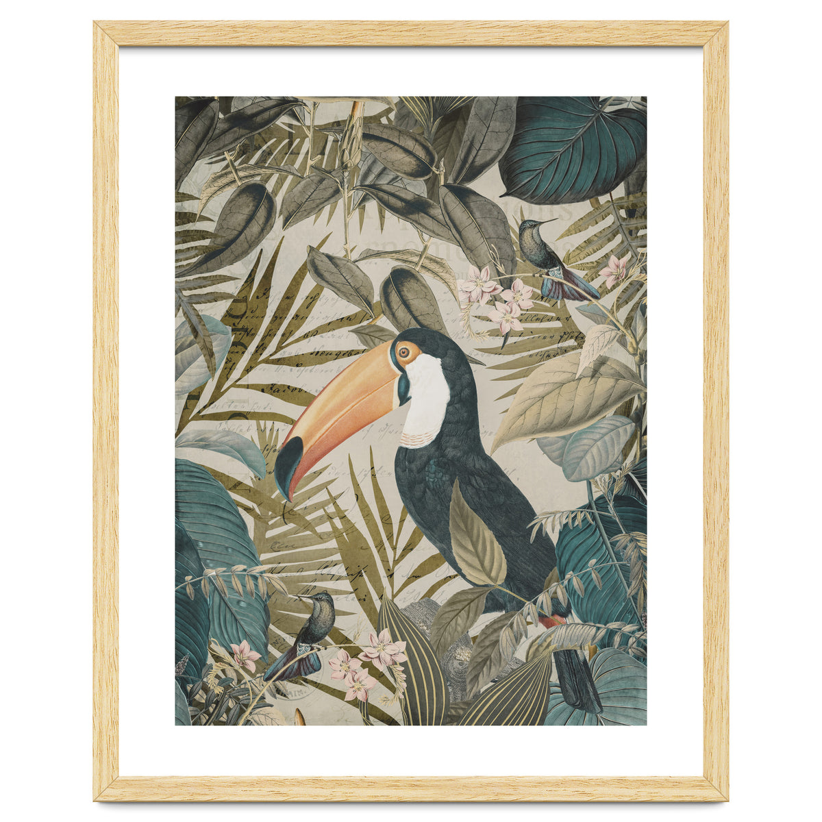 Jungle Toucan