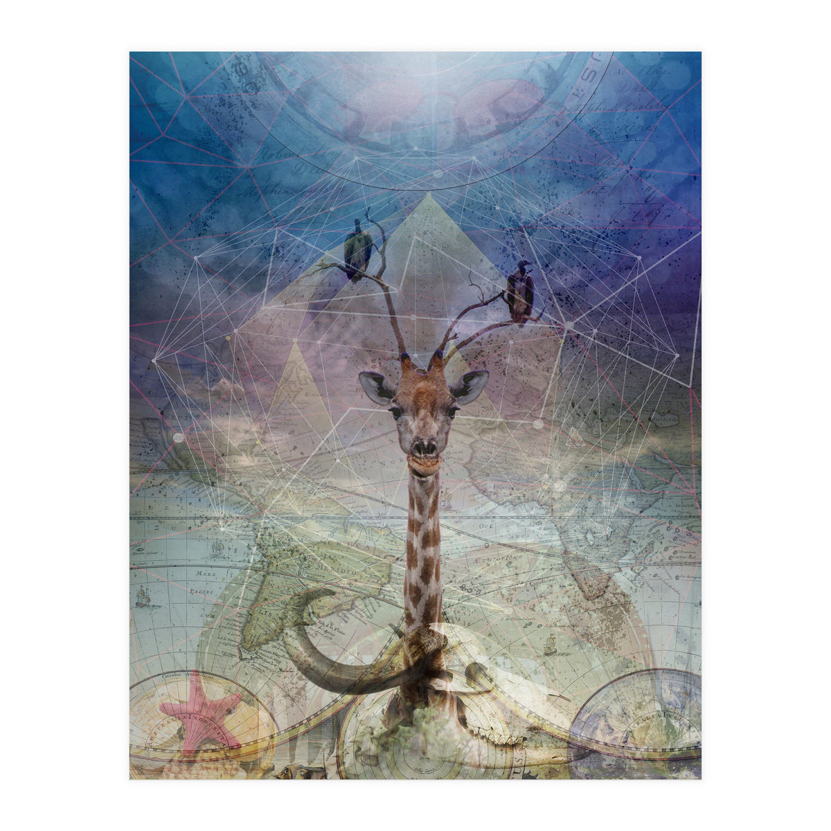 Warning (Print Only)