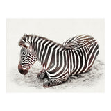 Zebra (Print Only) thumbnail
