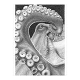 Octopus no. 1 (Print Only) thumbnail
