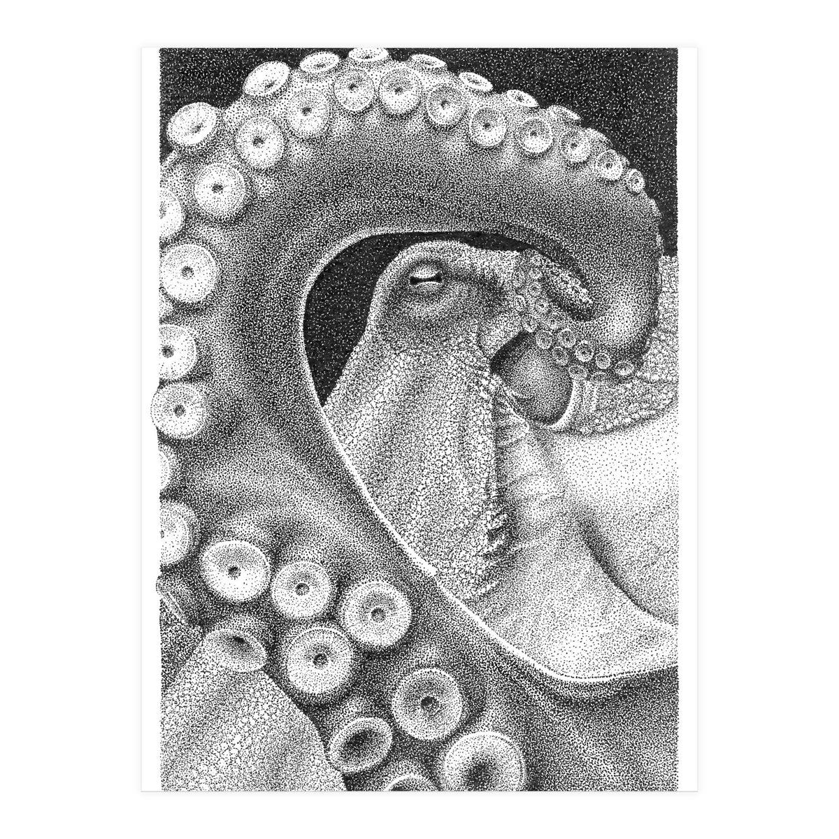 Octopus no. 1 (Print Only)