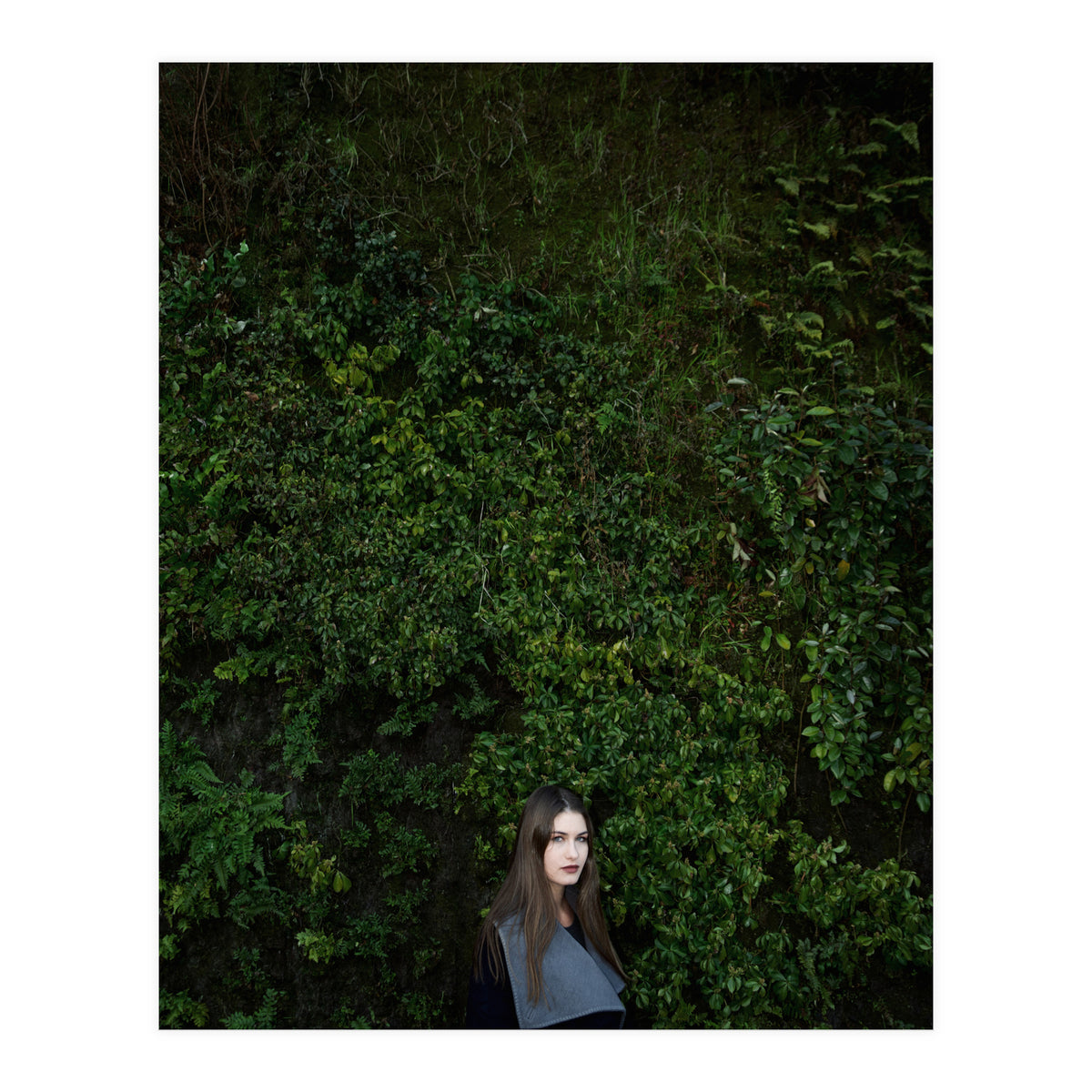 Nature in Madrid (Print Only)