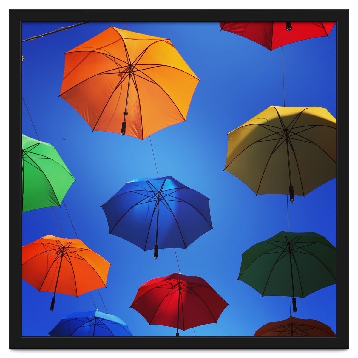 Rainbow umbrellas