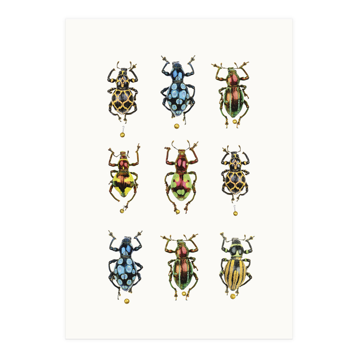 Cc Insects 05 (Print Only)