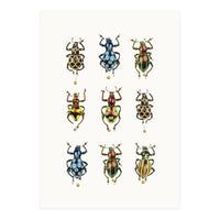 Cc Insects 05 (Print Only)