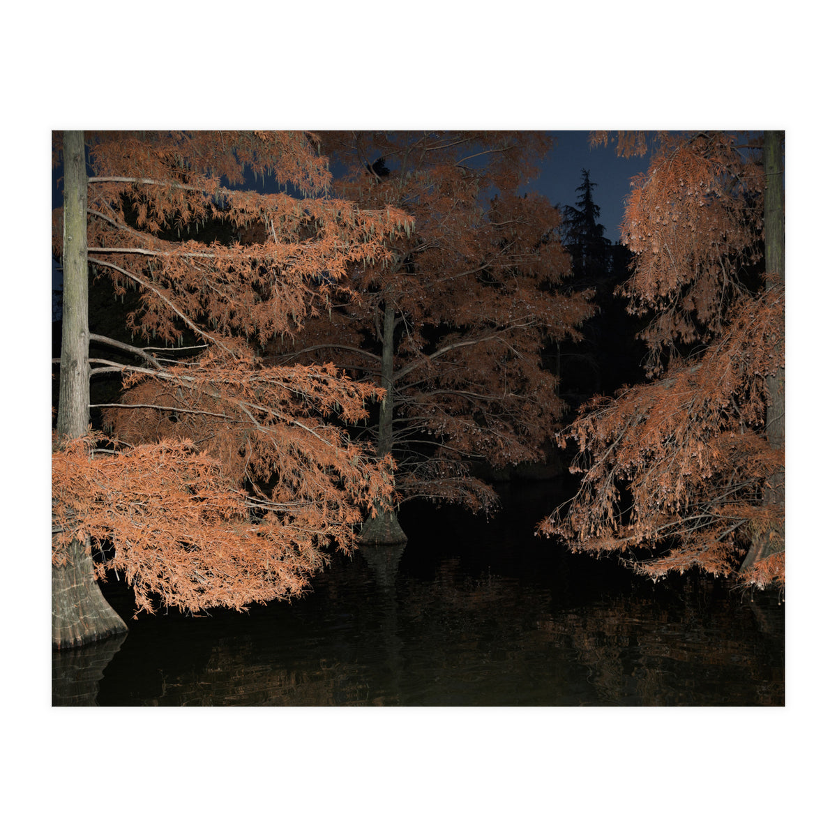 Sleepy Hollow (Print Only)