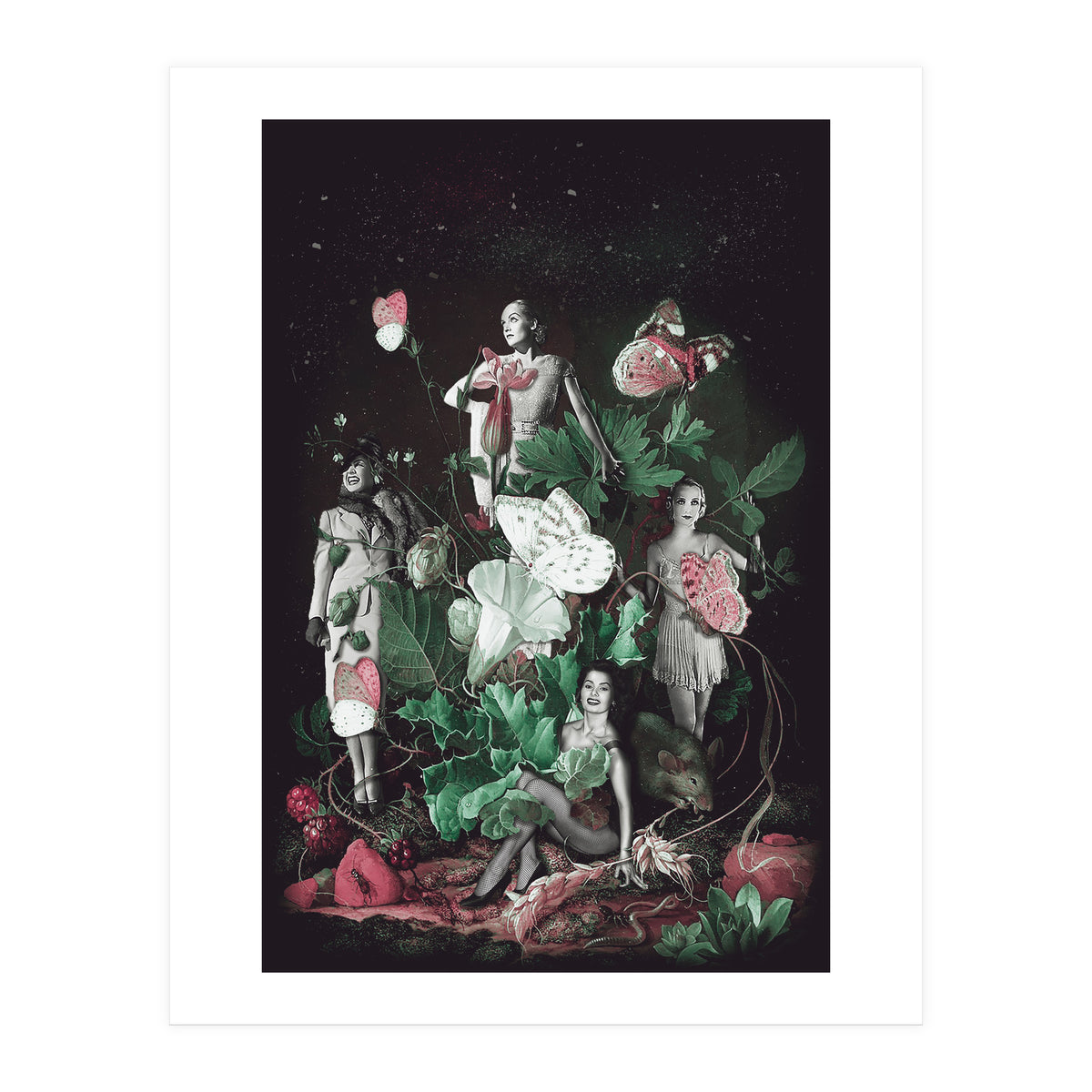 Cecilia (Print Only)