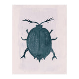 Beetle 2 (Print Only) thumbnail