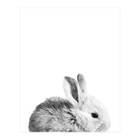 Black and White Bunny Portrait (Print Only)
