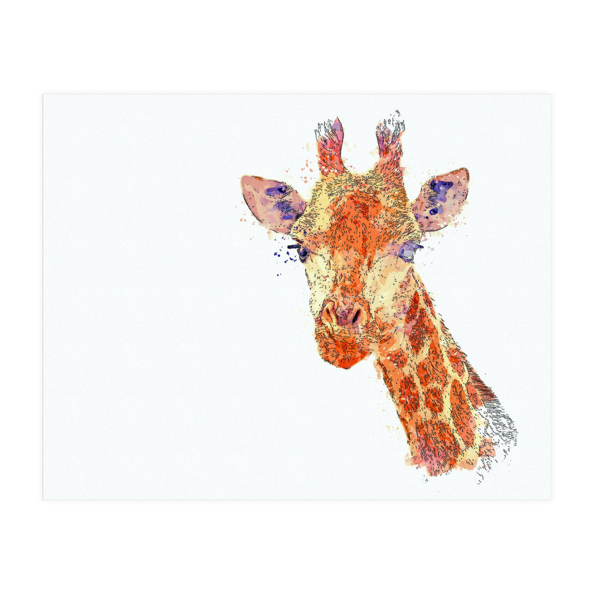 Grayson (Print Only)