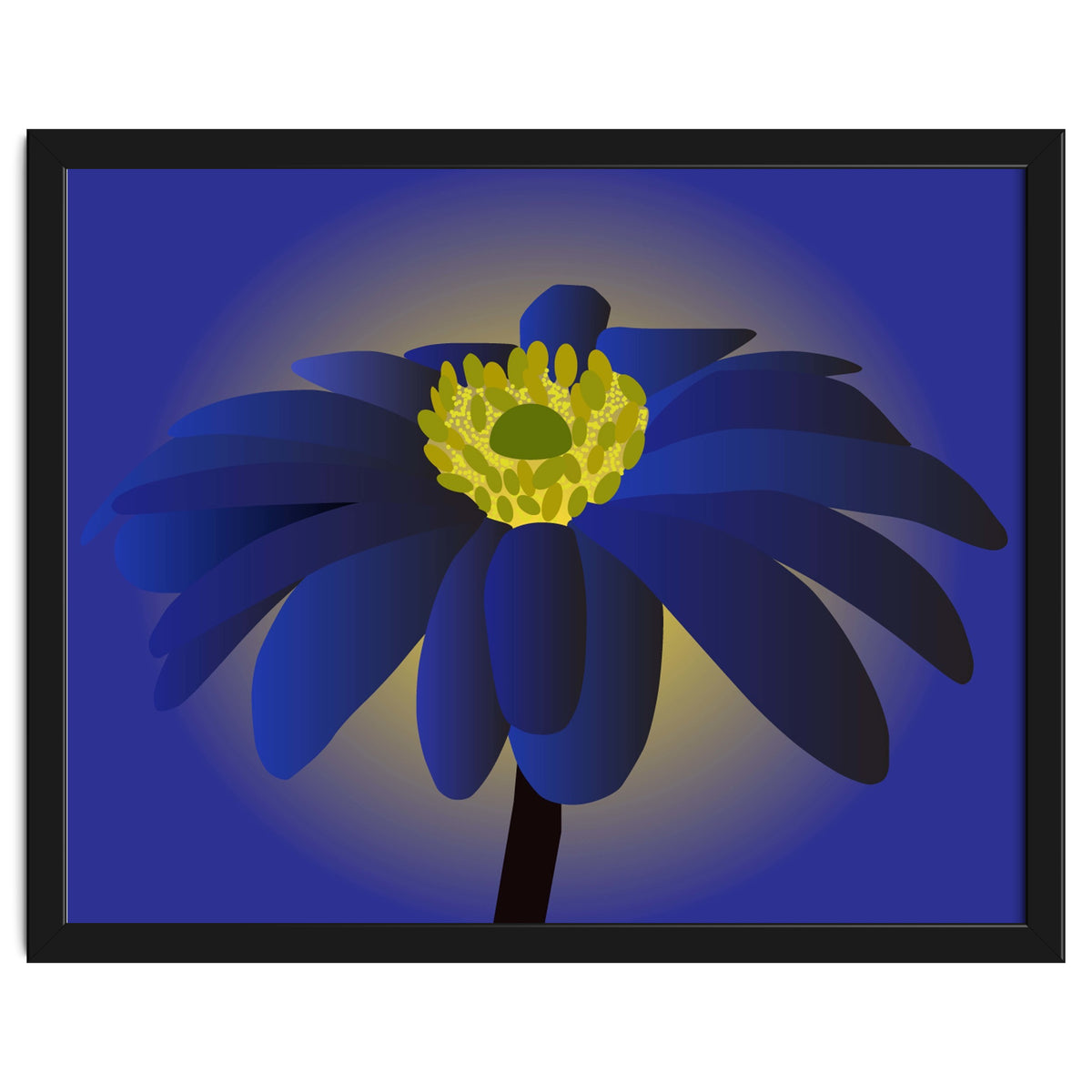 Anemone Blanda Flower Art