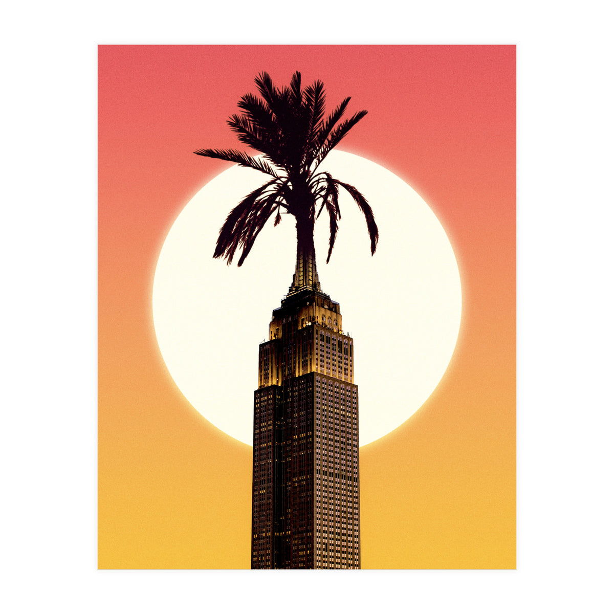 Palm City (Print Only)