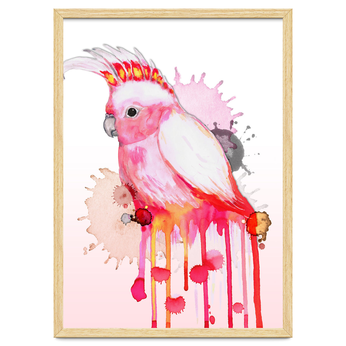 Major Mitchell's cockatoo