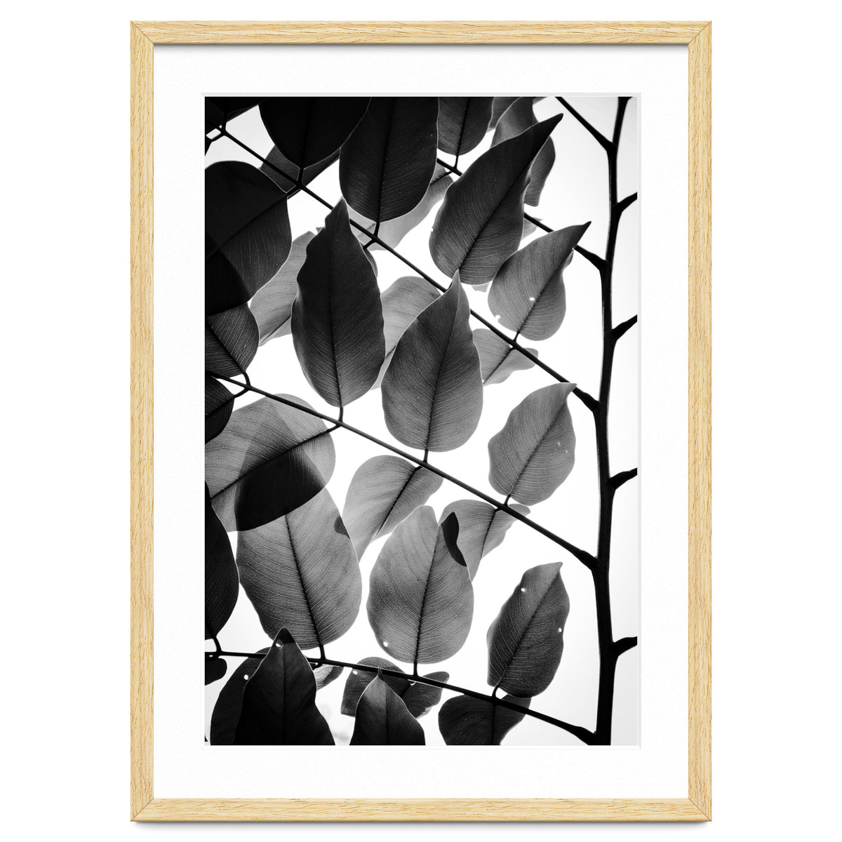 Branches and Leaves II