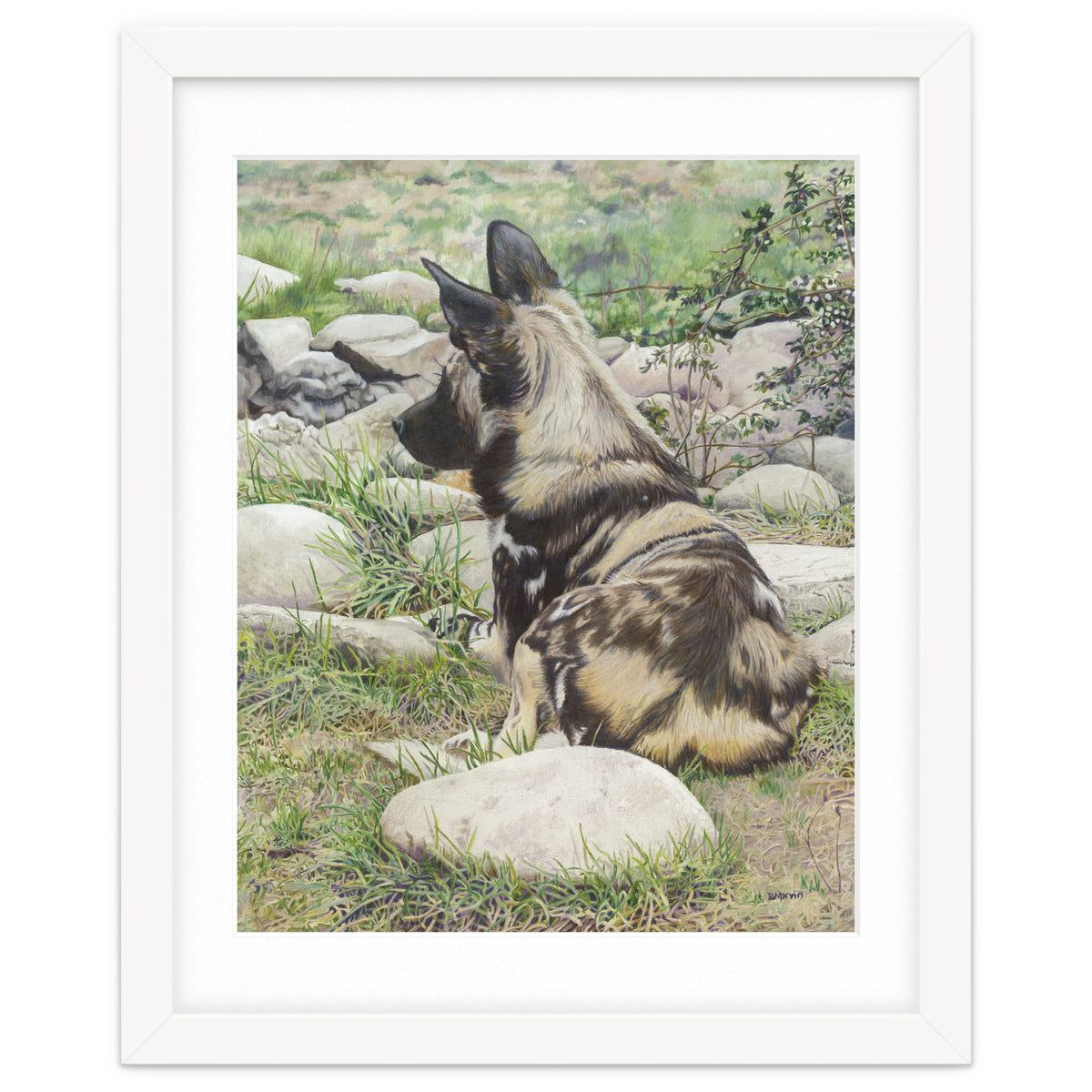 African Painted Dog I