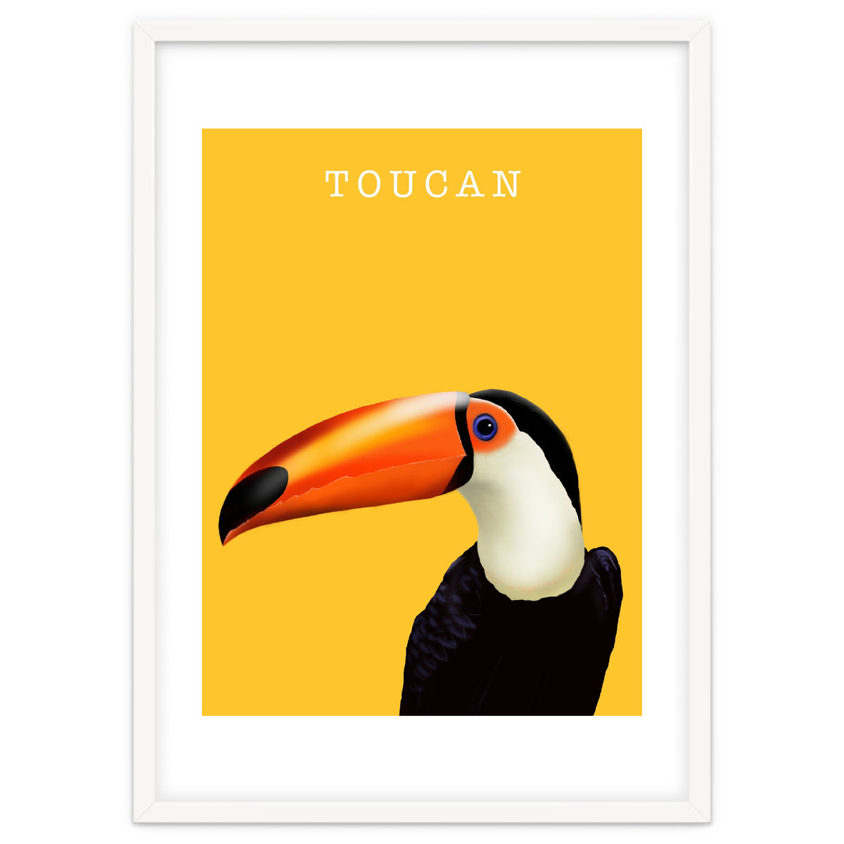 Toucan