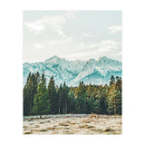 Winter Weather (Print Only) thumbnail