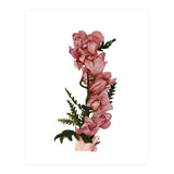 For You (Print Only) thumbnail