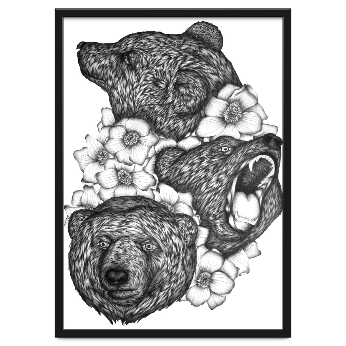 Bears In Bears