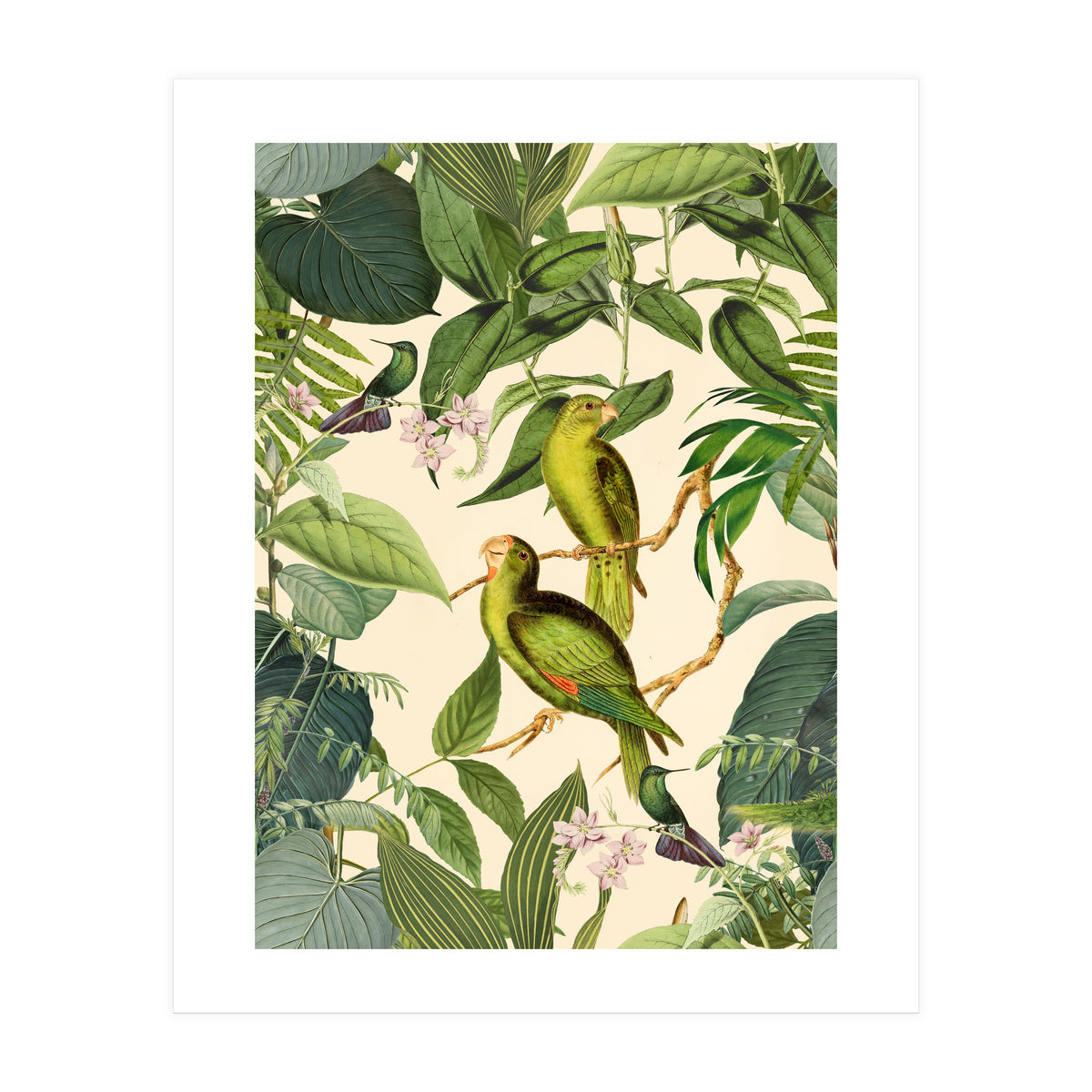 Green Jungle Parakeets (Print Only)