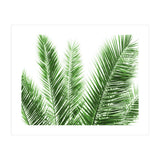 Palm Leaves (Print Only) thumbnail