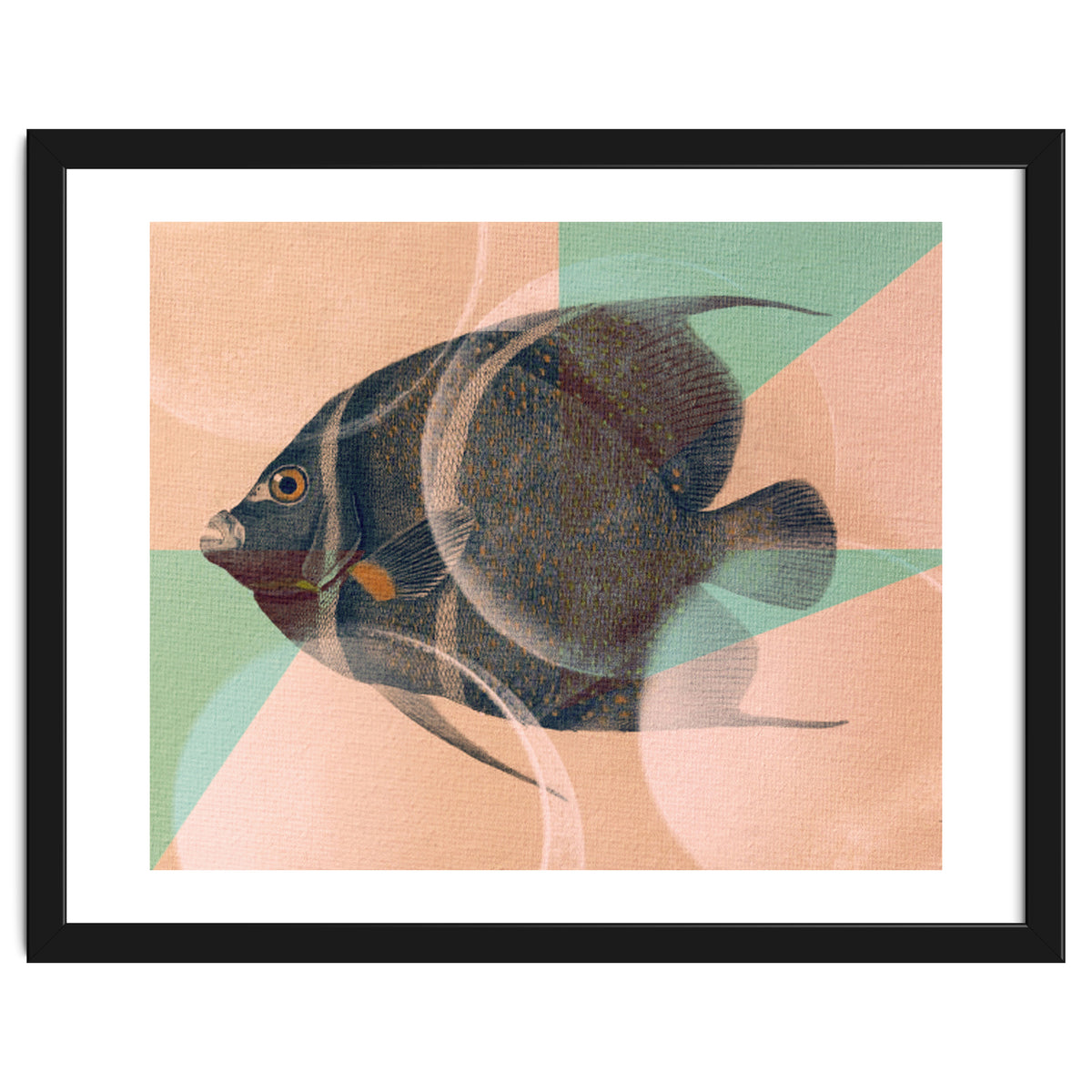 Fish Between Circles 2
