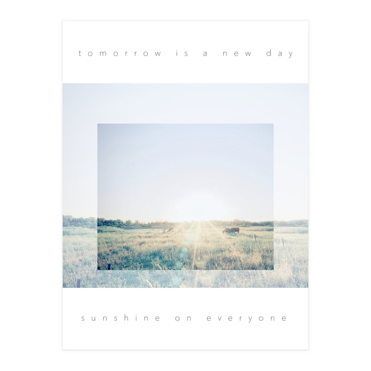 sunshine on everyone (Print Only)