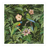 Exotic Jungle Birds (Print Only) thumbnail