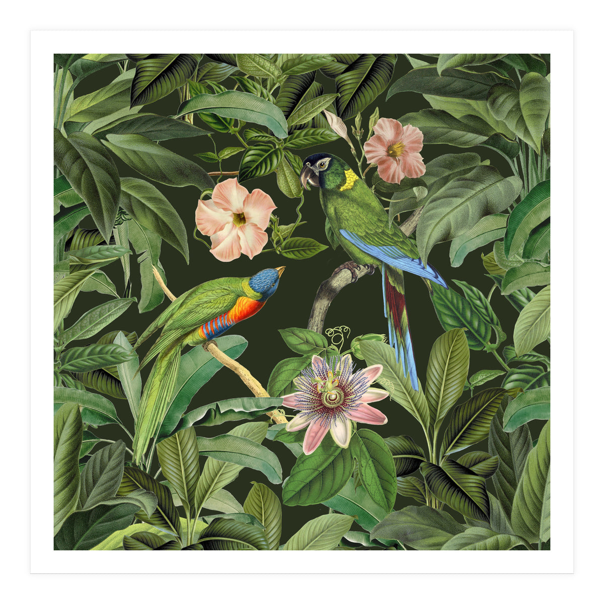 Exotic Jungle Birds (Print Only)