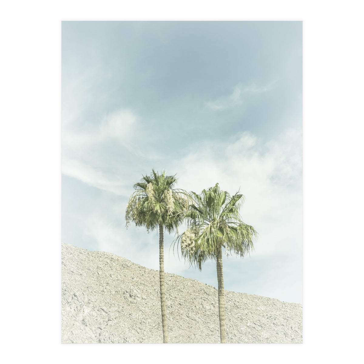 Palm Trees in the desert | Vintage (Print Only)