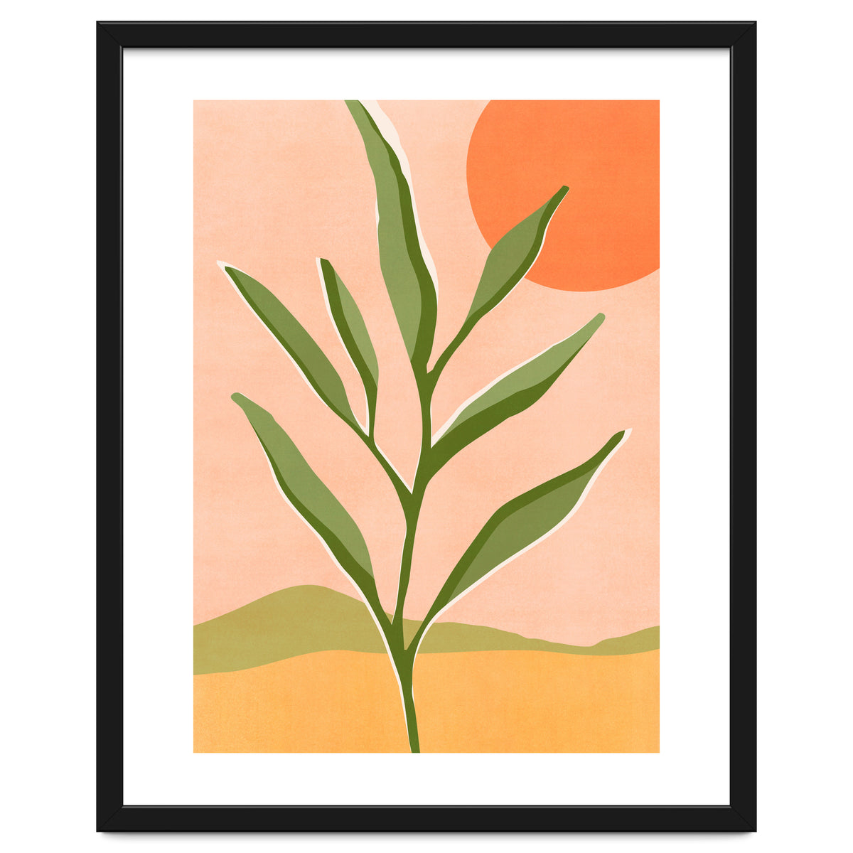 The Sun and The Succulent