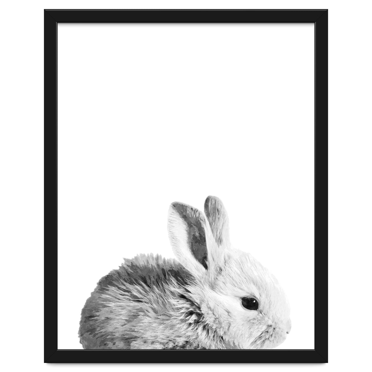 Black and White Bunny Portrait