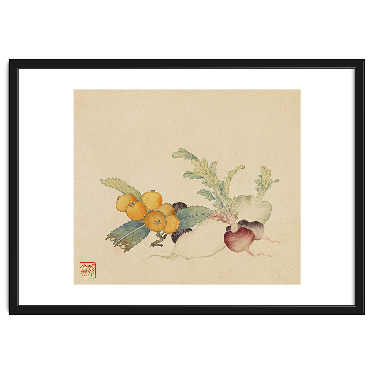 Wang Chengpi~flowers And Vegetables, Vegetables, Fruits, Loquat, White Radish, Carrot, Radish